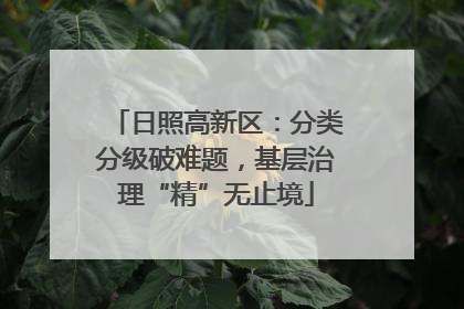 日照高新区：分类分级破难题，基层治理“精”无止境