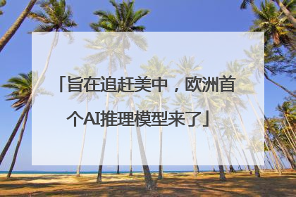 旨在追赶美中，欧洲首个AI推理模型来了