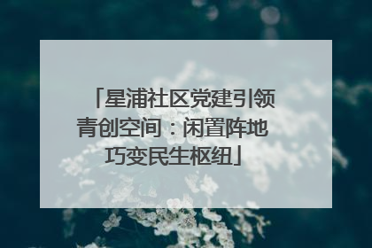星浦社区党建引领青创空间：闲置阵地巧变民生枢纽