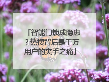 智能门锁成隐患？热搜背后是千万用户的夹手之痛