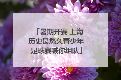 暑期开赛 上海历史最悠久青少年足球赛喊你组队