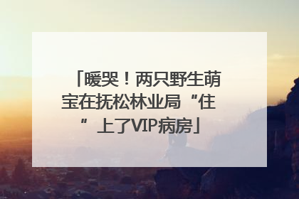 暖哭！两只野生萌宝在抚松林业局“住”上了VIP病房