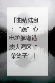 曲靖陆良：“蔬”心电护航粤港澳大湾区“菜篮子”