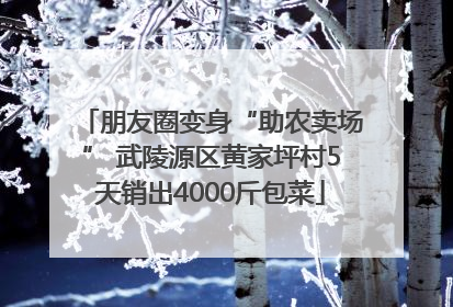 朋友圈变身“助农卖场” 武陵源区黄家坪村5天销出4000斤包菜