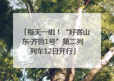 每天一组！“好客山东·齐鲁1号”第二列列车12日开行