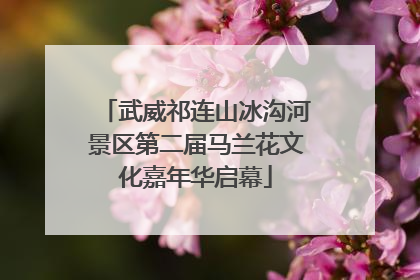 武威祁连山冰沟河景区第二届马兰花文化嘉年华启幕