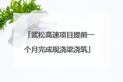 武松高速项目提前一个月完成现浇梁浇筑