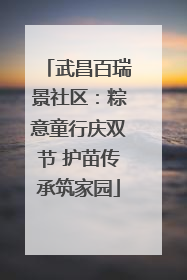 武昌百瑞景社区：粽意童行庆双节 护苗传承筑家园