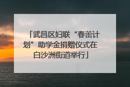 武昌区妇联“春蕾计划”助学金捐赠仪式在白沙洲街道举行