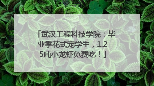 武汉工程科技学院：毕业季花式宠学生，1.25吨小龙虾免费吃！