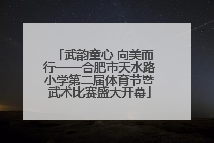 武韵童心 向美而行——合肥市天水路小学第二届体育节暨武术比赛盛大开幕