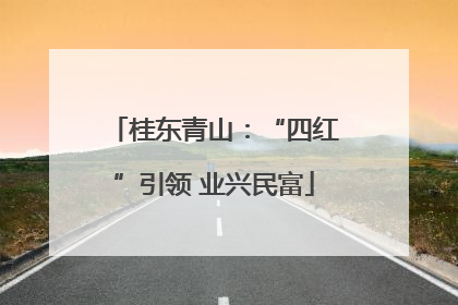 桂东青山：“四红”引领 业兴民富