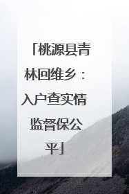 桃源县青林回维乡：入户查实情 监督保公平