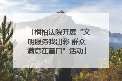 桐柏法院开展“文明服务我出彩 群众满意在窗口”活动