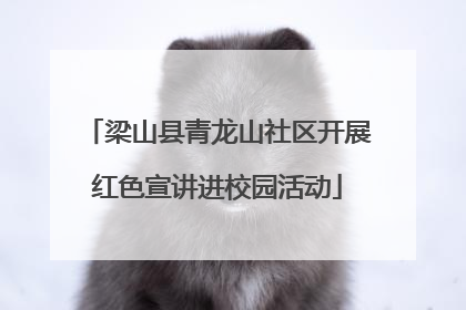 梁山县青龙山社区开展红色宣讲进校园活动