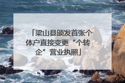 梁山县颁发首张个体户直接变更“个转企”营业执照