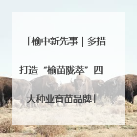 榆中新先事｜多措打造“榆苗陇萃”四大种业育苗品牌