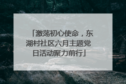 激荡初心使命，东湖村社区六月主题党日活动聚力前行