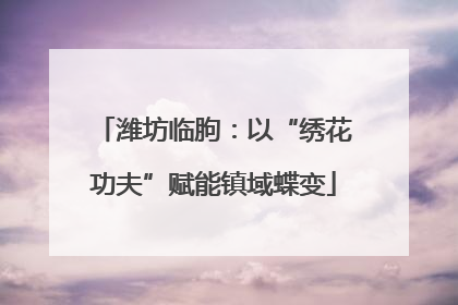 潍坊临朐：以“绣花功夫”赋能镇域蝶变