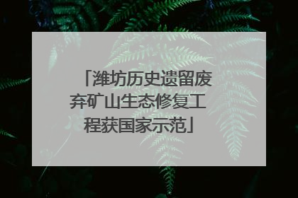 潍坊历史遗留废弃矿山生态修复工程获国家示范