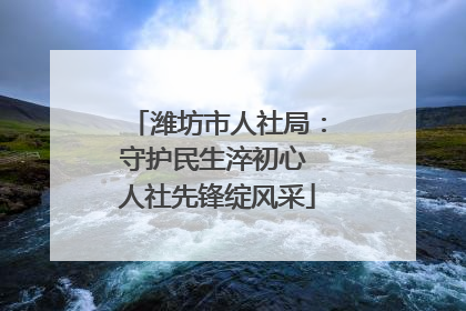 潍坊市人社局：守护民生淬初心 人社先锋绽风采