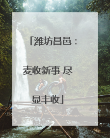 潍坊昌邑：麦收新事 尽显丰收