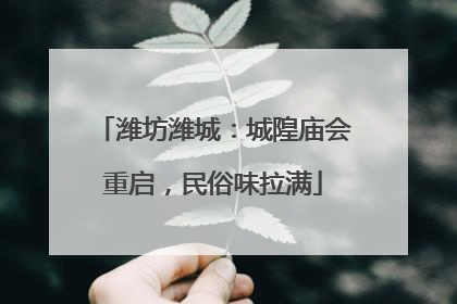 潍坊潍城：城隍庙会重启，民俗味拉满