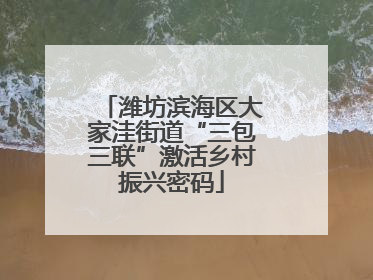 潍坊滨海区大家洼街道“三包三联”激活乡村振兴密码