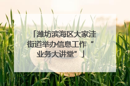 潍坊滨海区大家洼街道举办信息工作“业务大讲堂”