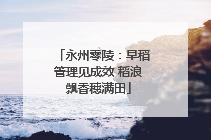 永州零陵：早稻管理见成效 稻浪飘香穗满田