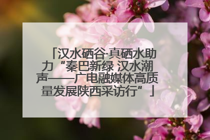 汉水硒谷·真硒水助力“秦巴新绿 汉水潮声——广电融媒体高质量发展陕西采访行”