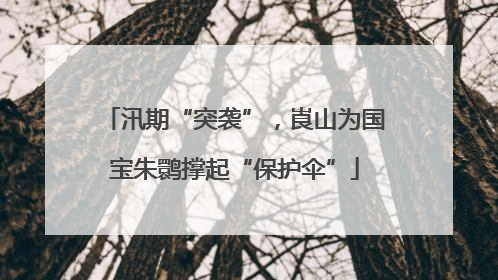 汛期“突袭”，崀山为国宝朱鹮撑起“保护伞”