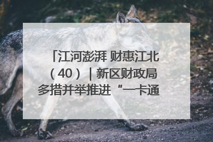 江河澎湃 财惠江北（40）｜新区财政局多措并举推进“一卡通”管理 保障惠民惠农补贴精准高效发放