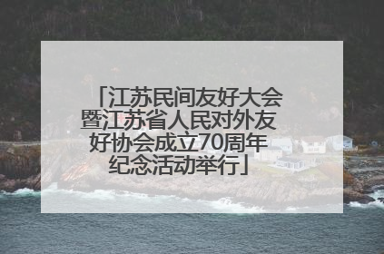 江苏民间友好大会暨江苏省人民对外友好协会成立70周年纪念活动举行