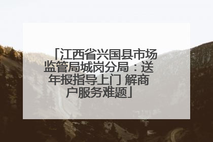 江西省兴国县市场监管局城岗分局：送年报指导上门 解商户服务难题