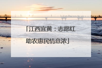 江西宜黄：志愿红助农惠民情意浓