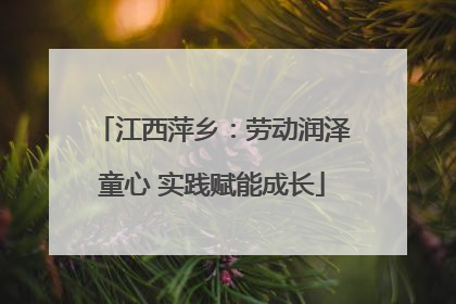 江西萍乡：劳动润泽童心 实践赋能成长