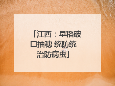 江西：早稻破口抽穗 统防统治防病虫