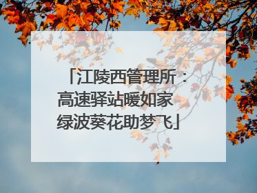 江陵西管理所：高速驿站暖如家 绿波葵花助梦飞
