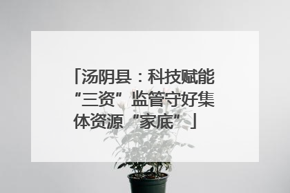 汤阴县：科技赋能“三资”监管守好集体资源“家底”