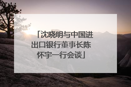 沈晓明与中国进出口银行董事长陈怀宇一行会谈
