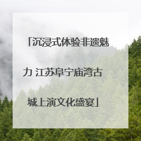 沉浸式体验非遗魅力 江苏阜宁庙湾古城上演文化盛宴