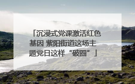 沉浸式党课激活红色基因 紫阳街道这场主题党日这样“破圈”