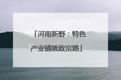河南新野：特色产业铺就致富路