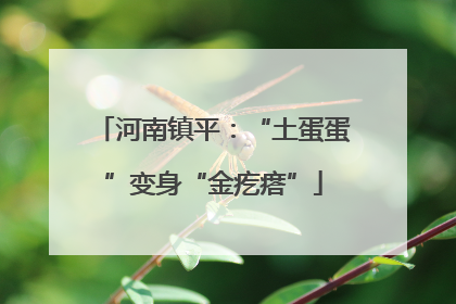 河南镇平：“土蛋蛋”变身“金疙瘩”
