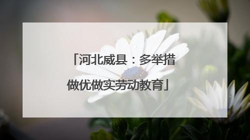 河北威县：多举措做优做实劳动教育