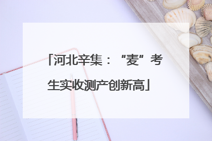 河北辛集：“麦”考生实收测产创新高