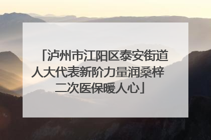 泸州市江阳区泰安街道人大代表新阶力量润桑梓 二次医保暖人心