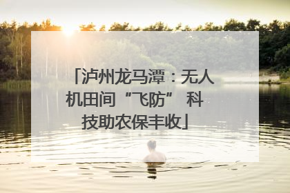 泸州龙马潭：无人机田间“飞防” 科技助农保丰收
