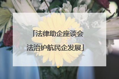 法律助企座谈会 法治护航民企发展